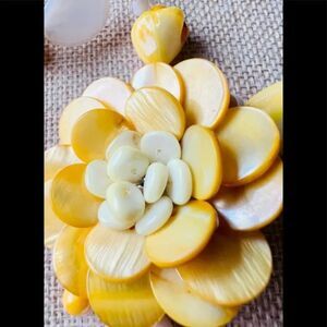 Handmade in Hawaii Mother of Pearl & shells Necklace 34” Yellow & Orange Dyed